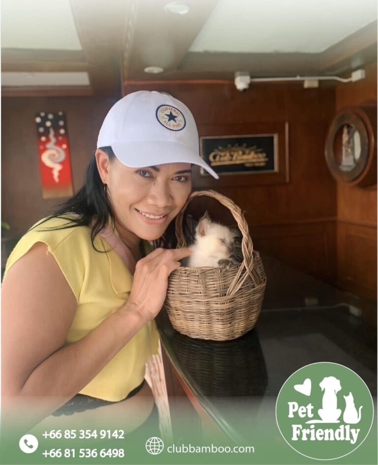 Pet at Club Bamboo